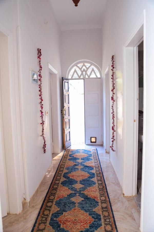 Luxor Oasis Guest House Exterior photo