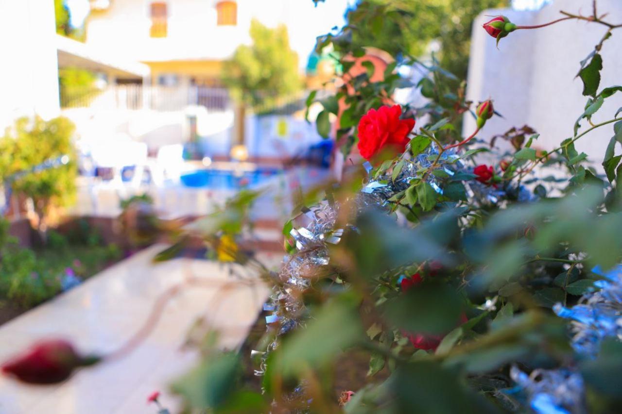 Luxor Oasis Guest House Exterior photo