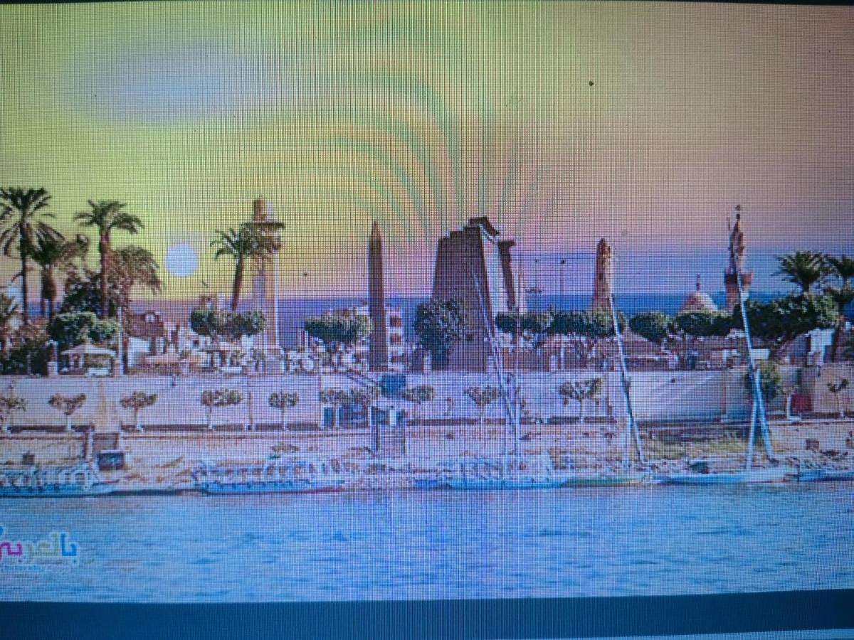 Luxor Oasis Guest House Exterior photo